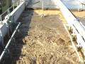 MBR WWTP - Coarse Aeration 1