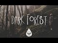 Dark Forest 🦇 - An Indie/Folk/Alternative Playlist (Halloween 2017)