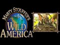 Wild America Season 2 Episode 6 - A Nest Is A Best - Animal TV - The Dock