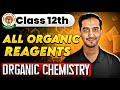 All Organic reagents | Organic chemistry | Class 12 Chemistry | CBSE Board