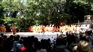 いなん　新人賞受賞　スーパーよさこい2012 　原宿元気祭