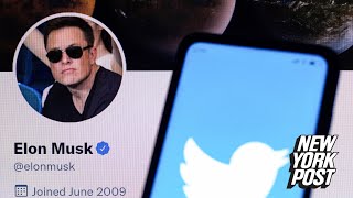 Conservatives question huge spikes in Twitter followers after Elon Musk takeover | New York Post