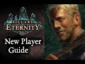 Pillars of Eternity - New Player Guide