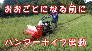 おおごとになる前にハンマーナイフ出動