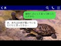 【line】田舎の義実家のそばの支社に異動願いを出し、自己中心的な夫が義両親との同居を強引に決める「俺の決断は絶対だw」と言う → 最終的に私も子供も全員で断った結果www