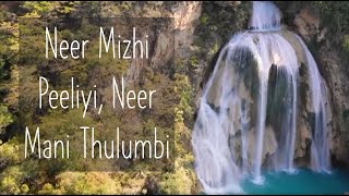 Neer Mizhi Peeliyil Neer Mani Thulumbi - Cover