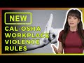 CAL OSHA's New Workplace Violence Standard | By Ally Safety