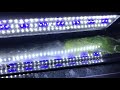 good cheap lights for fish tanks slim led