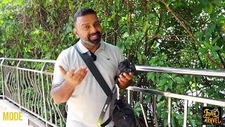 Nikon Z50   First Impression | എന്റെ പുതിയ ക്യാമറ | My New Camera for Food Vlogging