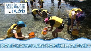 能登の海と魚にふれる旅＠能登町①磯観察と海の仕事 日本財団 海と日本PROJECT in いしかわ 2018 #19