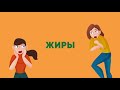 Здоровое питание белки жиры и углеводы