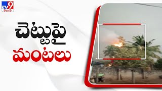 చెట్టుపై మంటలు - TV9