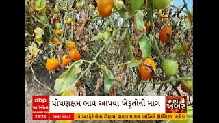 Sabarkantha : સાબરકાંઠામાં ખેડૂતો પરેશાન, ટામેટાંના ભાવ પહોંચ્યા તળિયે