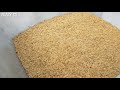 homemade auto rice milling machine homemade inventions 2018