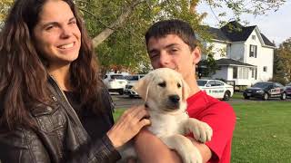 Windsor police give Ottawa boy a puppy