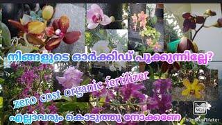 ഓർക്കിഡ് തൈകൾ നിറഞ്ഞ് പൂത്തുലയും zero cost organic fertilizer /orchid care in malayalam #tip #garden