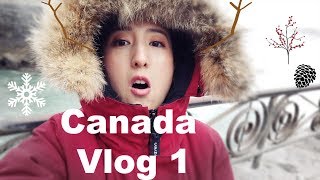 Vlog 11 和我一起去加拿大多倫多\u0026尼亞加拉瀑布 Travel to Canada Niagara Falls \u0026 Toronto