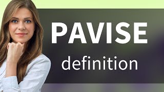 Pavise • PAVISE definition