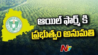 ఆయిల్ ఫార్మ్ కి ప్రభుత్వం అనుమతి | TRS Government Encourage Palm Oil Cultivation | NTV