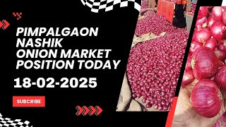 Nashik Onion Market Positions,  Rates and insights | GREEN SOURCE 18-02-2025