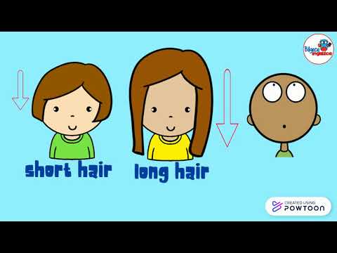 How do you describe a fair person?