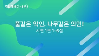 2025. 01. 12 주일예배(2부) - 풀같은 악인, 나무같은 의인!