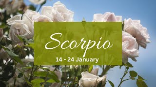 Scorpio❤️This intense connection is complicated.. but it’s all going to fall in place eventually..