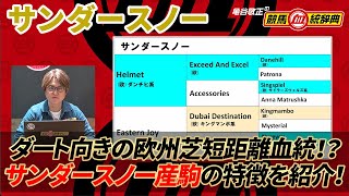 【サンダースノー】芝？ダート？牡馬？牝馬？狙うならどっち？