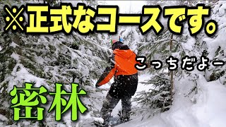 海外にある珍コースを紹介！初めて実際行ってみた。/Secret trails in Whistler