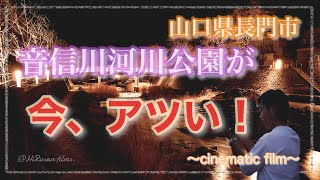 【山口県長門市】長門湯本温泉 音信川河川公園をぶらぶらと📸