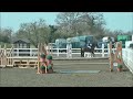 summerhouse eventers challenge 90cm 1m