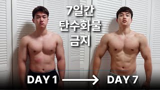 배고파 죽을뻔했던 7일간의 무탄수화물 다이어트 후기