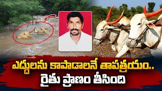 ఎద్దులు కోసం.. ప్రా_ణాలు కోల్పోయిన రైతు | Telugu News | Adilabad | SumanTV Vizag