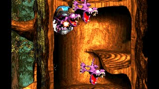 (DKC 3 Hack) 2-4 