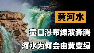 黄河变绿了！壶口瀑布出现“绿水青山”景观，是好事还是坏事？