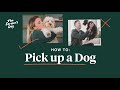 How To Pick Up A Dog