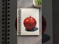 Apple 🍎 Acrylic on Paper #realisticart #stilllife #acrylicpainting #artshorts