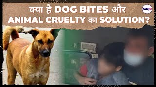 Dog Bite से 14 साल के बच्चे की Death, Stray Dogs Menace का क्या है Solution? #straydogs #viral