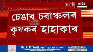 Assam News: এইবাৰ আলু খেতি কৰি সৰ্বস্বান্ত হৈছে দক্ষিণ বৰপেটাৰ কৃষক