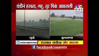 Winter Updates | महाराष्ट्रात थंडीचा कडाका वाढला, पाहा कुठे कशी परिस्थिती