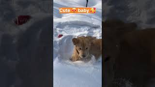 Cute 😍 baby playing on snow ❄️