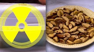 Are Brazil Nuts Radioactive? | Earth Science