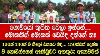 ගොවියෝ කුපිත වෙලා ඉන්නේ...