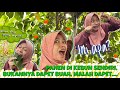 PINAT VLOG🧚🏻‍♀️#4: BERKEBUN DI LOTENG RUMAH?🧐🥬🍅