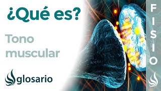 TONO MUSCULAR | Qué es, clasificación, función y alteraciones