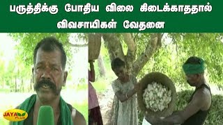 பருத்திக்‍கு போதிய விலை கிடைக்காததால் விவசாயிகள் வேதனை | Cotton Farming | Pudukkottai Farmers