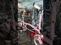 Brompton color Pink edition