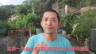 度夏期间能繁蜂吗？要怎么操作呢？一起来看看吧