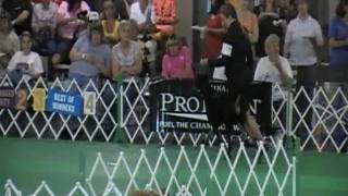 Top 10 Premier - Rush