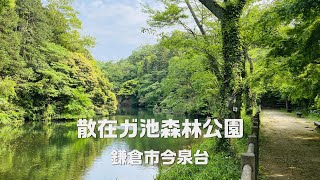 【鎌倉】散在ガ池森林公園（鎌倉市今泉台）｜鎌倉さんぽ kamakura